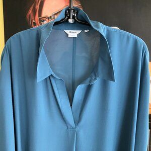 Sheer Ladies Blouse